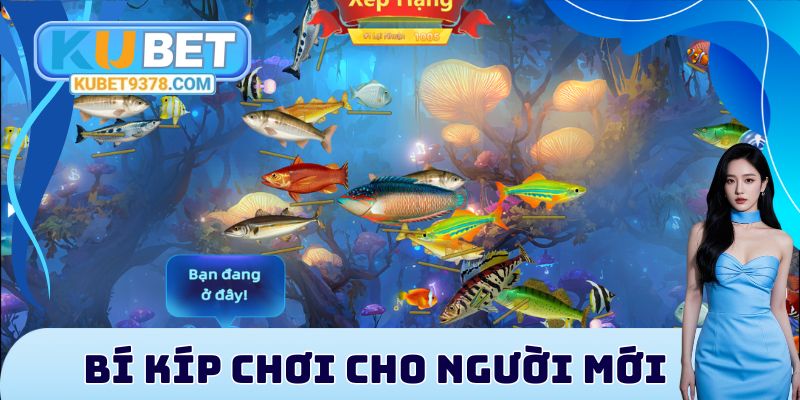 Vua Bắn Cá - Tựa Game Săn Thưởng Giải Trí Đỉnh Cao Nhất - xovip.fun