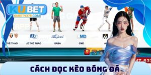 Tin Tức - xovip.fun