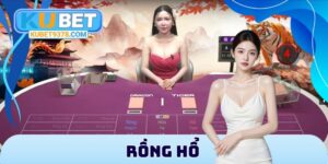 Tin Tức - xovip.fun